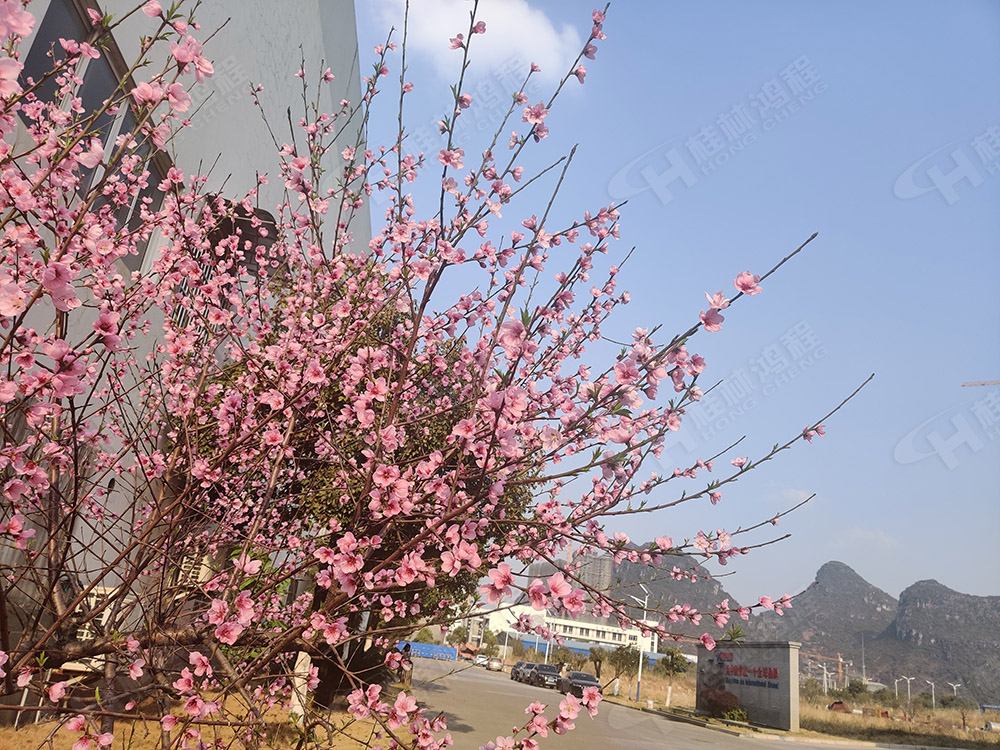 桂林鴻程花團(tuán)錦簇，滿園春色，邀您一起共賞春景，共商大計(jì)！